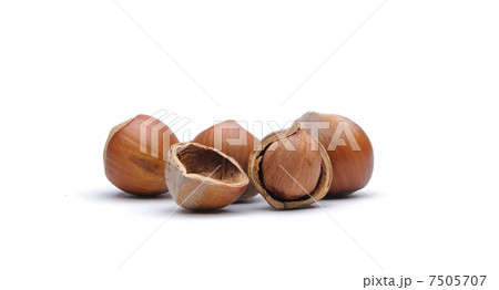 Hazelnuts Hazelnuts 7505707