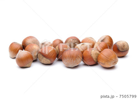 Hazelnuts Hazelnuts 7505799