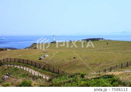 呼子　加部島の草原 7506112