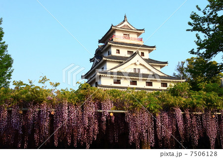 佐賀 唐津城と藤の花の写真素材