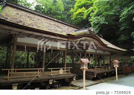 初夏の鞍馬寺 初夏の鞍馬寺 7509929