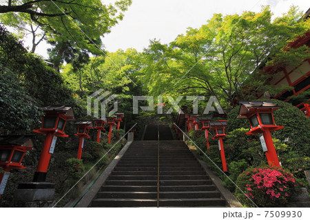 初夏の鞍馬寺 初夏の鞍馬寺 7509930