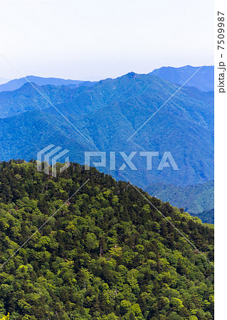 初夏の大台ケ原 初夏の大台ケ原 7509987