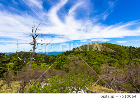 初夏の大台ケ原 7510064
