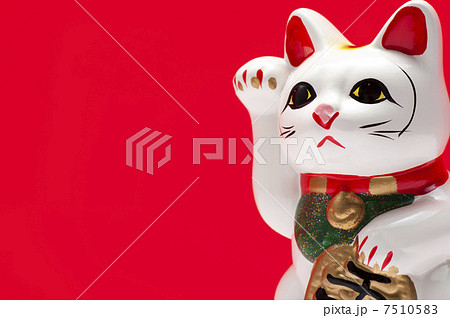 赤色の背景に招き猫のアップ 7510583
