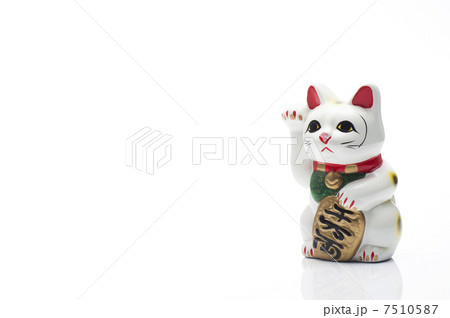 白背景に招き猫 7510587