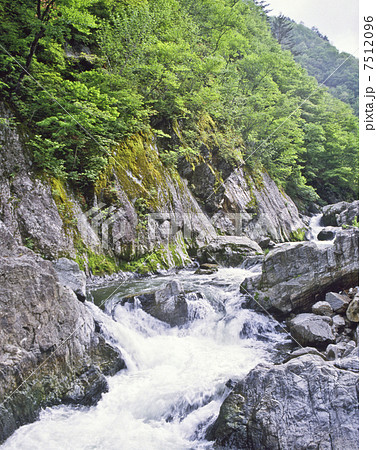 新緑の久慈渓流 新緑の久慈渓流 7512096