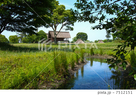 平塚　川添遺跡公園 7512151
