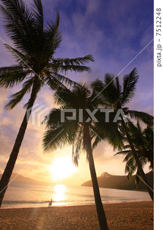ハミルトン島の朝焼け ハミルトン島の朝焼け 7512248
