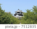松山城 7512835