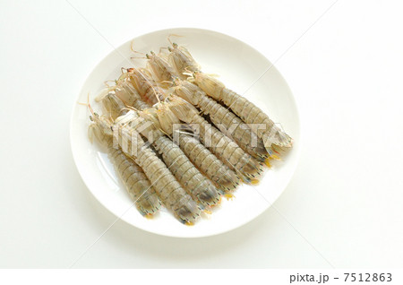 シャコ シャコ 7512863