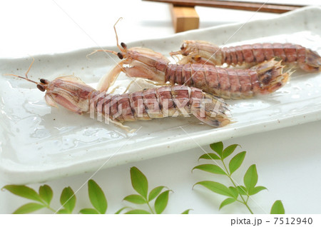 茹でシャコ 7512940