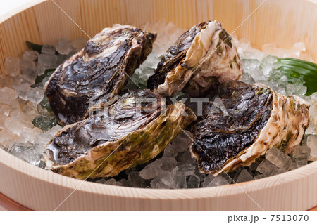岩牡蠣 7513070