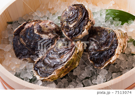 岩牡蠣 7513074