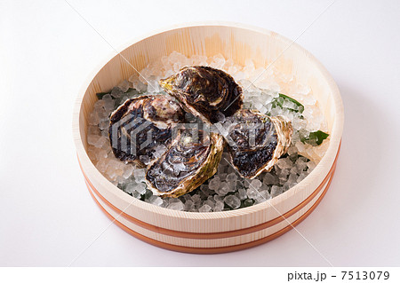 岩牡蠣 岩牡蠣 7513079