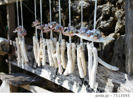 竹富島の珊瑚風鈴の写真素材