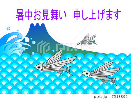 暑中見舞い　トビウオ 7513392