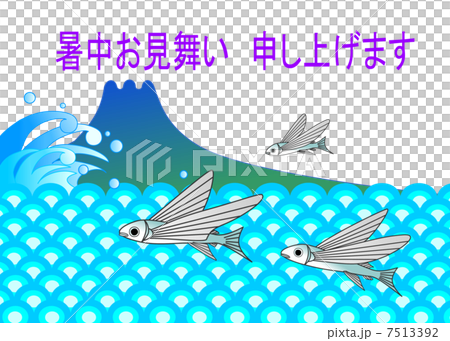 暑中見舞い　トビウオ 7513392