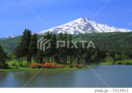 新緑の鳥海高原 7513911