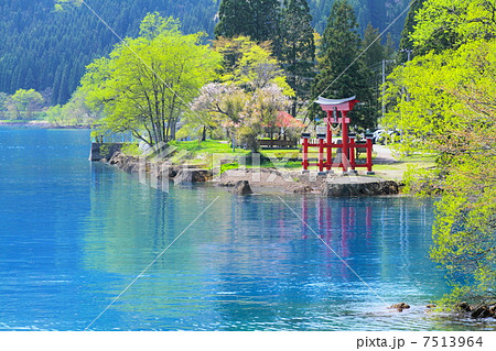 田沢湖・御座石神社 田沢湖・御座石神社 7513964