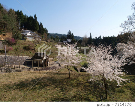 佛隆寺(宇陀)の桜 佛隆寺(宇陀)の桜 7514570