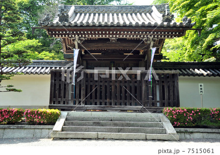 滋賀　西教寺の勅使門 7515061