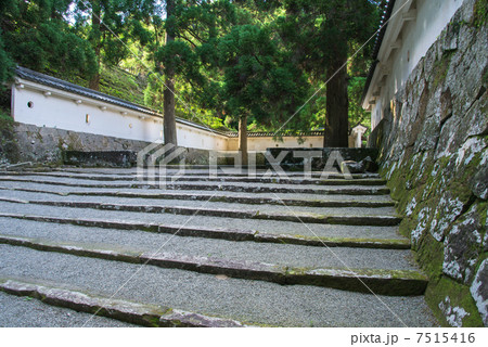 飫肥城跡 飫肥城跡 7515416