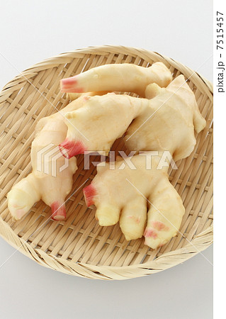 生姜 生姜 7515457