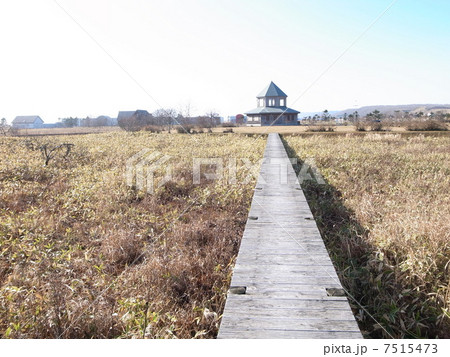 恋問自然観察公園 恋問自然観察公園 7515473