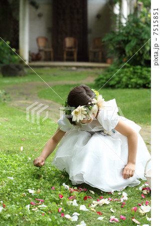フラワーシャワーの女の子 7515851