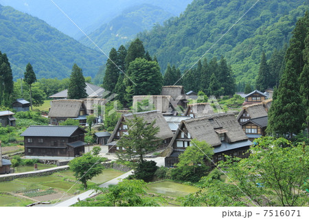 越中五箇山・相倉合掌造り集落 7516071