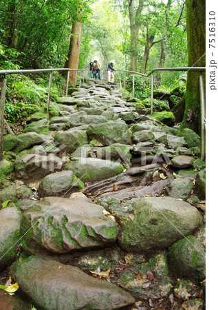 熊野磨崖仏へ続く鬼が築いた石段 7516310