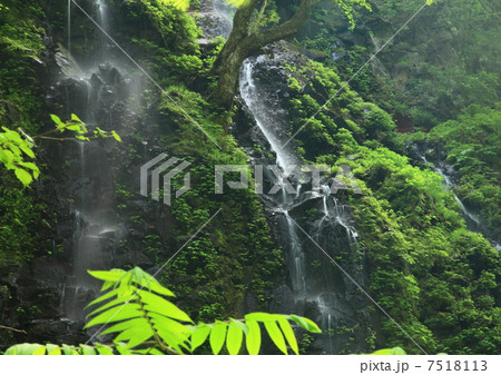 滝 7518113