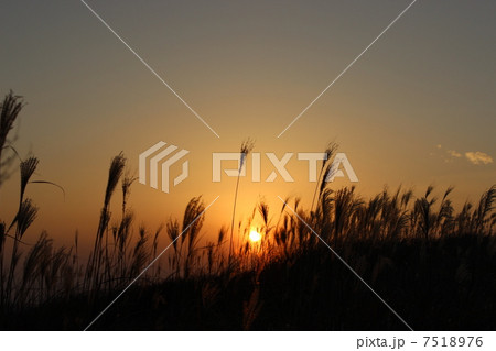 秋の夕日 7518976