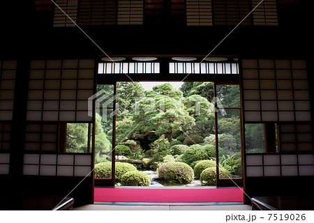 庭 日本庭園 主庭の写真素材