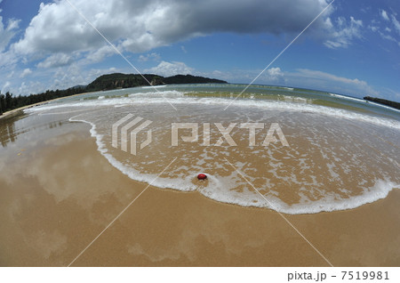 赤い実の長旅 7519981