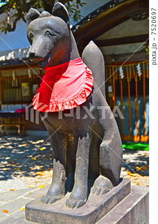「三囲(みめぐり)神社」のキツネの像(阿形像)（東京都墨田区向島） 7520697
