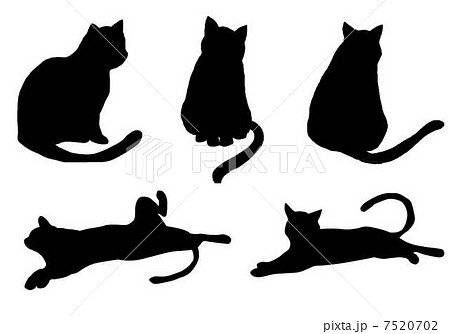 Cat Illustration Material Stock Illustration