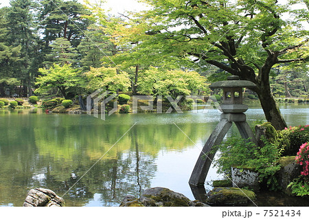 兼六園・霞ヶ池と徽軫灯籠 兼六園・霞ヶ池と徽軫灯籠 7521434