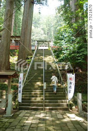 愛知県新城市・鳳来寺山東照宮 愛知県新城市・鳳来寺山東照宮 7521670