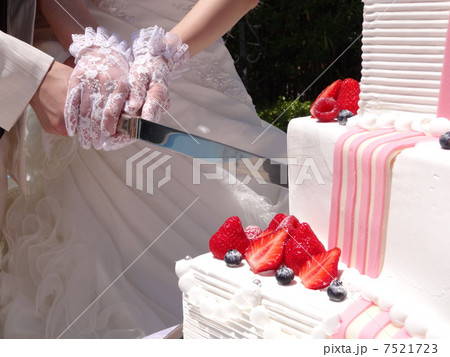 ケーキカット 7521723