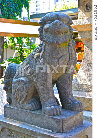 白髭神社の狛犬(吽形像)(東京都墨田区東向島) 白髭神社の狛犬(吽形像)(東京都墨田区東向島) 7521962