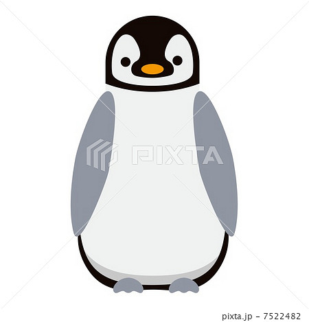 子供のペンギンのイラスト素材