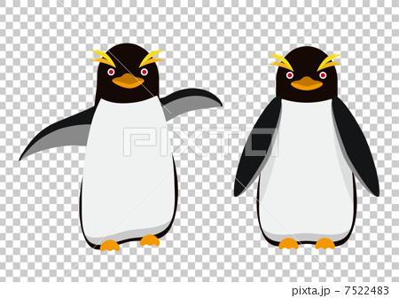イワトビペンギンのイラスト素材