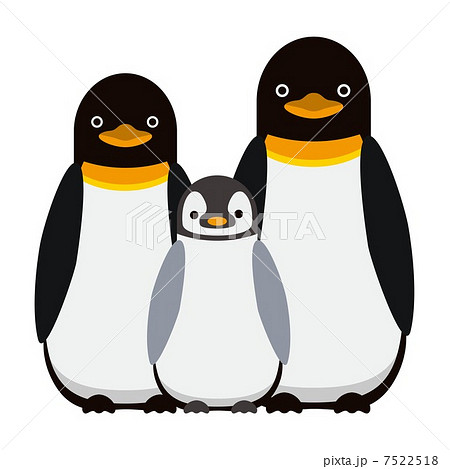 親子のペンギンのイラスト素材 7522518 Pixta