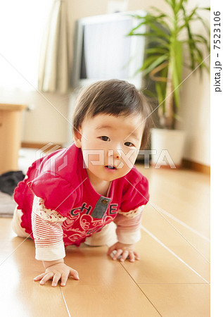 はいはい 7523106