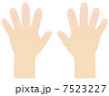 子供の手の甲 7523227