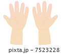 子供の手のひら 7523228