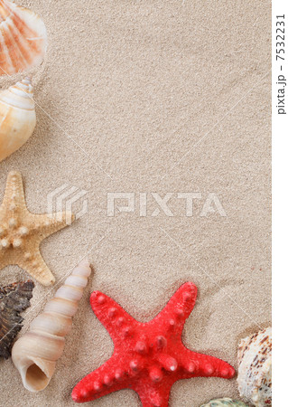 Sea shells with sand 7532231