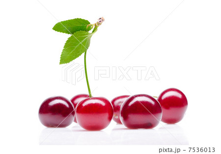 Cherry 7536013